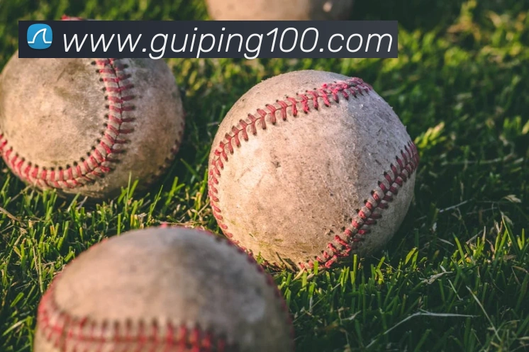 leyu乐鱼官方网站APP 封面图