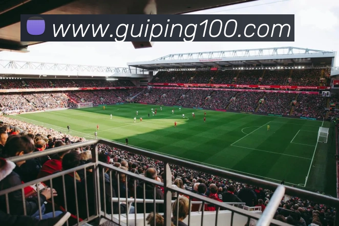 数据防护可视化